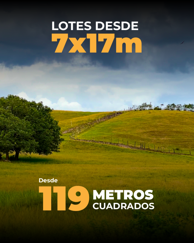 Carrusel Prados_03 producto + precio