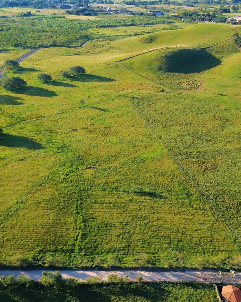 lotea-lotes-urbanos-pitalito