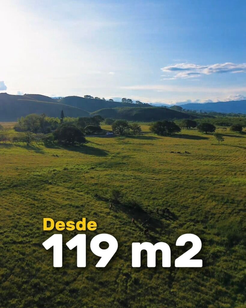 lotes-urbanos-pitalito-119m-lotea